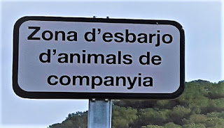 http://animalsdelmaresme.blogspot.com.es/2017/06/zones-desbarjo-per-gossos-al-maresme.html