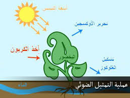 عملية التركيب الضوئي Masdar