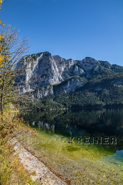 Robert SKREINER - Blog