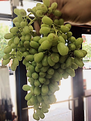 A Big Bunch of Sour Grape at Pars Market LLC Columbia Maryland 21045
