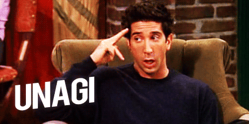 Is Unagi really a thing? - Blogmantra