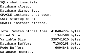 Oracle DBA: Dataguard - Creating physical standby database using RMAN ...