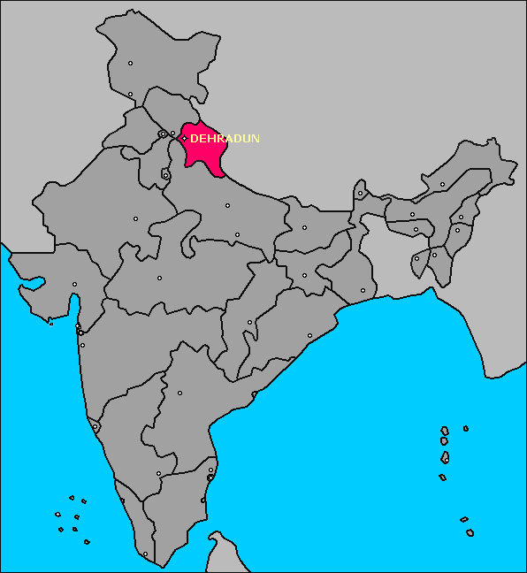 Food and Cakes with Juyee Dehraduni Basmati Rice