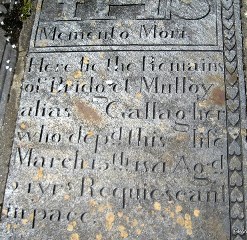 http://www.igp-web.com/IGPArchives/ire/donegal/photos/tombstones/ardara/target43.html