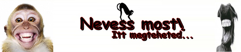 !!!Nevess Most!!!