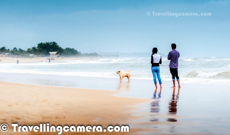 This monsoon, I was in Goa and loved driving around different parts of North & South Goa. Baga Beach was quite interesting place among different things we explored around the beautiful Goa.  Baga Beach is a popular beach and tourist destination with various options for tourists in North Goa. This Photo Journey shares some of the elements of Baga Beach which makes it different from other beaches in Goa.Baga Beach is located in north part of Goa and situated at one end of the contiguous beach stretch which starts from Sinquerim, Candolim & Calangute... Next to Baga is Anjuna Beach which also one of the popular beaches in North Goa. Baga beach has  a series of shacks, fishing boats, Water-sports options, some of the brilliant restaurants for sea food and high tides... We were staying near Candolim Beach and the day started by driving to Anjuna beach, which are disappointing during Monsoons. It was completely shut-down.. There was no eating place to have breakfast and overall space was dirty.. Black sand on the beaches made thing worse. Soon after we made our mind to move towards  Baga Beach. On reaching Baga Beach, the search for a good restaurant started. There are lot of options on the beach with nice views of the sea. Here we took the wise decision to call Dev to ask for recommended options to eat. We had hired a WagonR from Dev and he recommended us to visit Brittos for having Goan Sea-Food. And I must say that it was awesome. We had Crabs and Prawns at Brittos with some Coconut Feni. The best part was seating arrangement at Brittos. Most of the tables are aligned in such a way that guests get a nice view to the Baga beach, which remains full of tourists, most of the time. This is one of the most crowded beach of North Goa. Calangute is another over-crowded beach in Goa. Monsoon is considered as off season in Goa and during Monsoons, Calangute was very crowded.While sitting at Brittos, we didn't want to leave our seats as it was giving beautiful views of the beach by being under a shed. Most of the photographs used in this Photo Journey are shot while sitting at Brittos at Baga Beach. We had multiple orders at Brittos, since we didn't want to leave the seats. At that point of time, I couldn't appreciate the taste of Feni so ordered beer in subsequent rounds :). While enjoying the sea food at Brittos, we observed different vendors selling stuff to tourists at the beach. The photograph on the left shows the lady vendor who was selling trinkets on the beach. We observed that almost everyone negotiated with lady, but she sold to 80% of the folks who negotiated. These observations made us think that negotiation is must and followed the same rule while went to the beach. We bought 3 things from the lady at 30% of the original cost quoted. Although we realized that the absolute amount paid was much higher than what is asked in the Baga market :).We observed many of the tatoo artists roaming around the beach and asking tourists to choose appropriate designs to be tatooed on their bodies. These were all temporary tatoos and having a tatoo in Goa is a popular trend and most of the folks prefer to have one or more Tatoos in Goa. We observed max number of Tatoo artists at Baga Beach and the other beach was Calangute, where we met few Tatoo Artists. During the visit, we met a very creative Tatoo Artist, who is considered as one of the best Tatoo artists who was honored by Goa Tourism as well. We shall do a separate story on David, along with his special Tatoo designs & celebrities, who chose him to create tatoos for them.  Most of the tourists at Baga Beach love to have a comfortable place to sit & enjoy the awesome environment which is difficult to find in other parts of the world. While having food at Brittos, we overheard that dolphins can also be located at around 5 kilometers from the shoreline, but we forgot to confirm this fact. The name of the beach has come from Baga creek, which empties into the Arabian Sea at the northern end of the beach. On the beach there are options for tourists to have head/foot massage while enjoying your drink on beach-side.Baga beach is also a popular beach for Parasailing, Watersports and Dolphin cruises. During Monsoons, there was hardly anything to do on the beaches but most of the folks prefer to have fun with high tides of the sea and their friends. we observed some of the beach-restaurants playing loud music. The photograph on the left shows a group of tourists having fun in music and water waves of the sea. There were many such groups at Baga Beach and this is pretty different from any other beach in North Goa. All other beaches have restaurants at distance and there were hardly any shacks during monsoons. If you plan for Goa and want to have a good time on a lively beach with water sports, then Baga beach is a good option for you and you must visit it. Although, at the same time, my personal favorite was Candolim beach, because of the type of crowd this beachgets, not so crowdedness and relatively peaceful to have some private space on the beach-sand. If you opt for Baga Beach, then you must compromise on beach cleanliness and crowd quality... There are plenty of shacks at Baga, but only a few are good, so choose carefully. Sitting on a laid back beach seat, enjoying the sun set while sipping cocktails is a must! Many of the families also come of this beach and some large tourists can be seen around the beach. This photograph shows the jeeps on beach which ensure that tourists don't go to the danger zone of the sea and be safe. They used to warn folks going inside the sea and many times, one or two folks used to go & bring people back. These jeaps were there on almost every beach, except Candolim. We saw those at Calangute & Miramar as well. Baga Beach in north Goa may be touristy and busy but for those who like action, it’s one of the most happening beaches on the coast. It's a place for party lovers and many of the options that a tourist wants in Goa. Although water-sports were not available during the monsoons but it seems that parasailing & watersports are quite cheap at Baga Beach, but quality should be expected on same parameters. Overall experience may becomeworthwhile if you are ready to pay more to the folks offering those services.Finally we had a walk around the beach and chose to leave for Calangute. Most of the time was spent at a restaurant which exposed us to different activities happening on beach and now it was time to move on... More Photo Journeys from Goa will follow soon...