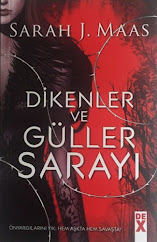 Fighting Lola Ve Komsu Cocuk Stephanie Perkins Kitap Yorumu