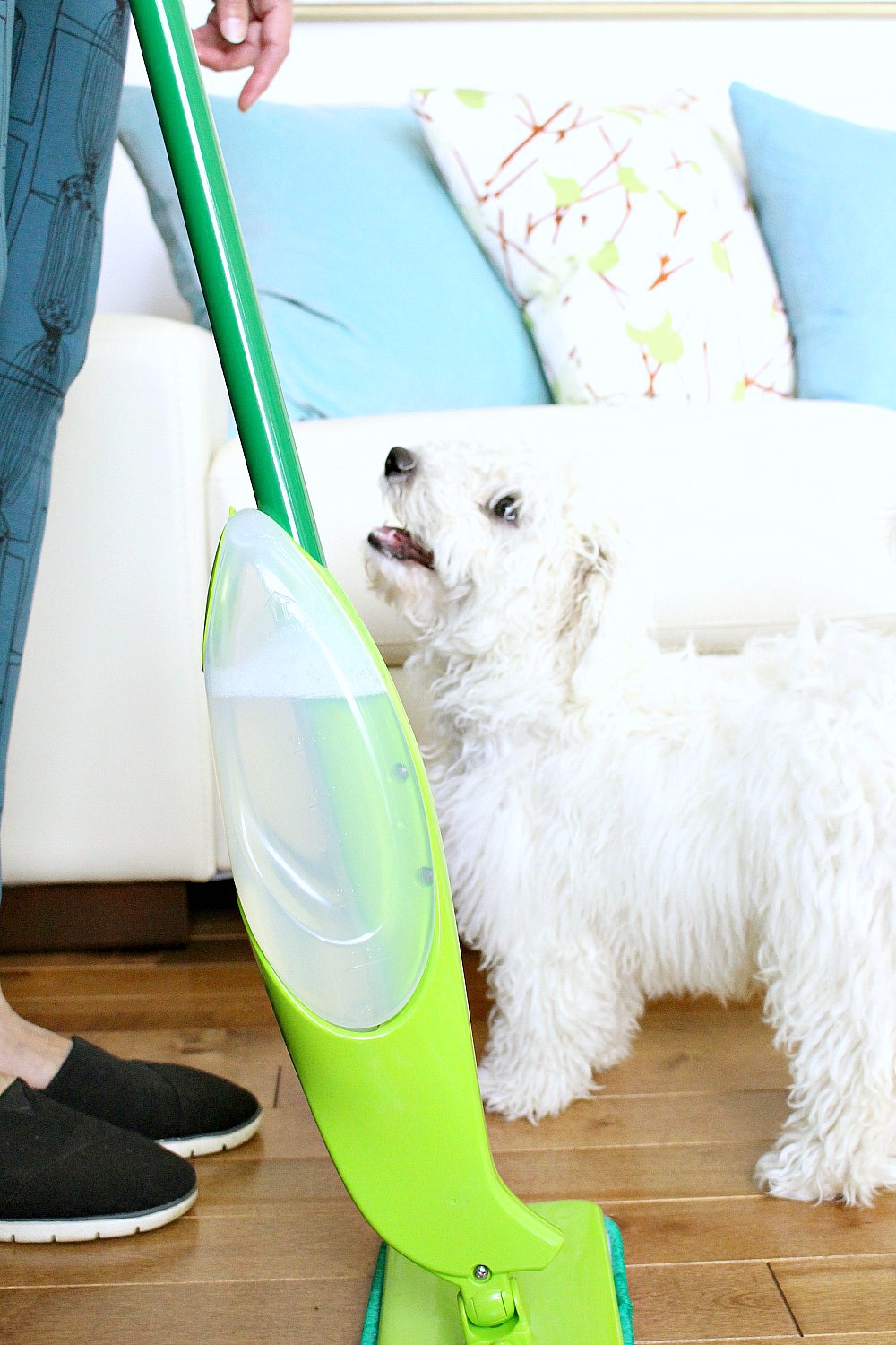 My Tips + Tricks for Keeping My House Clean with Two Dogs