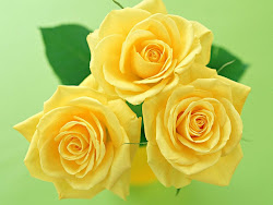 yellow rose wallpapers desktop backgrounds roses flowers flower bunch nice lovely gorgeous keywords different