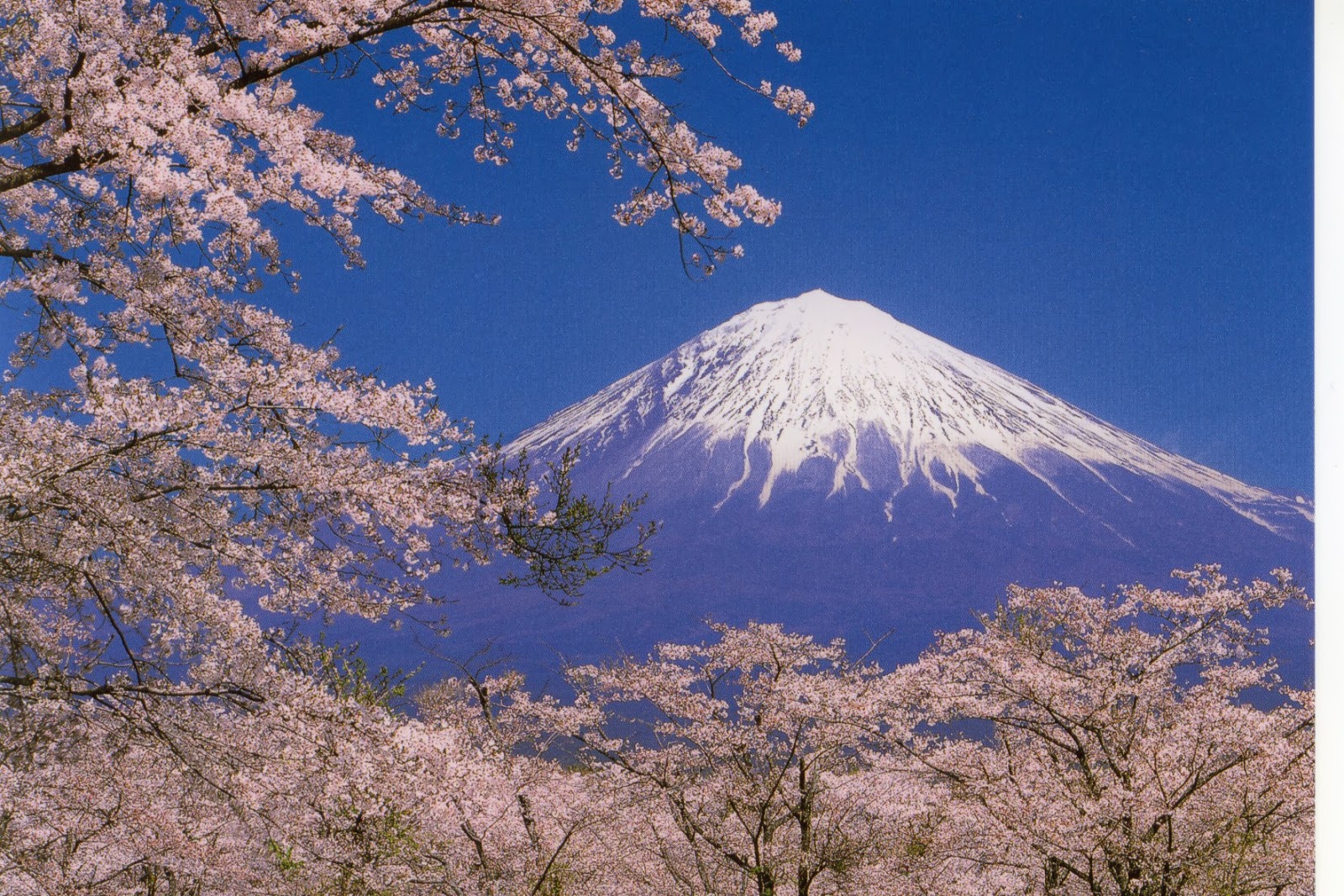 15+ Trend Terbaru Foto Pemandangan Gunung Fuji Jepang - Cakrawala