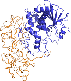 Ese punto azul pálido (Pale Blue Dot) La ricina en la pequeña pantalla