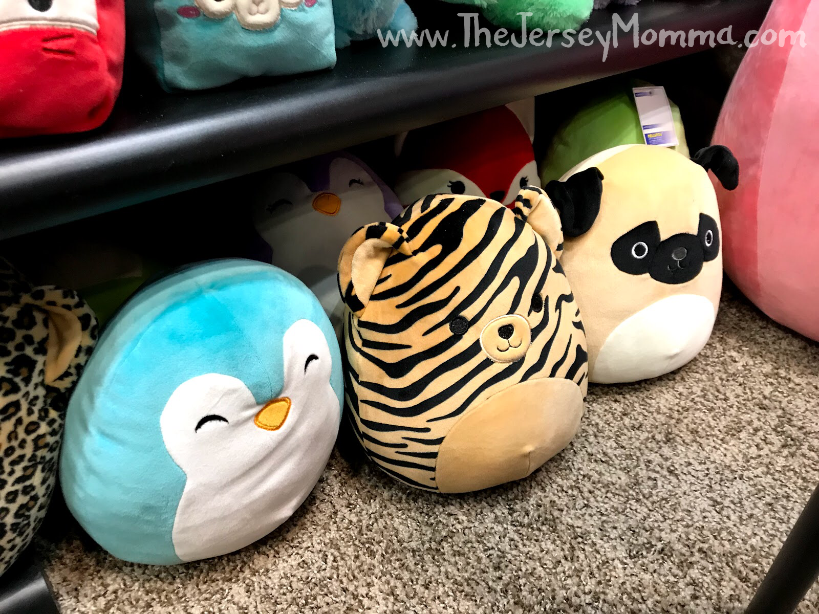 Squishmallows Where to Find, What's Coming, What's New The Jersey Momma