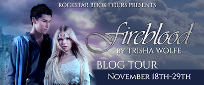 http://www.rockstarbooktours.com/2013/11/tour-schedule-fireblood-by-trisha-wolfe.html