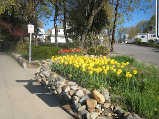 Maynard Life Outdoors and Hidden History of Maynard: 2018