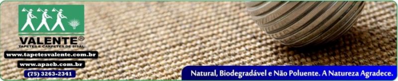 APAEB Produtos de Sisal