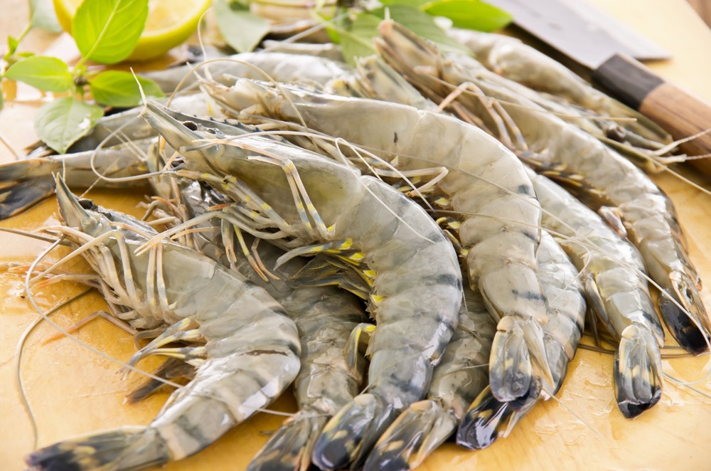 6 ways how to find shrimps suppliers with good quality milkfish shrimp size