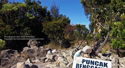 Legenda Dewi Rengganis Dan Sejarah Kelam Cikasur Gunung Argopuro
