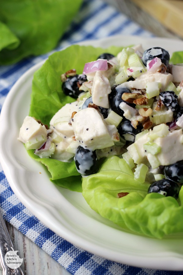 Blueberry Pecan Chicken Salad | by Renee's Kitchen Adventures - easy recipe for a creamy chicken salad made with plump, sweet blueberries and crunchy pecans! #BlueberryToss #FWCon 