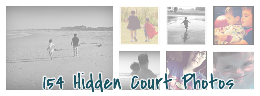 154 Hidden Court - The Photos