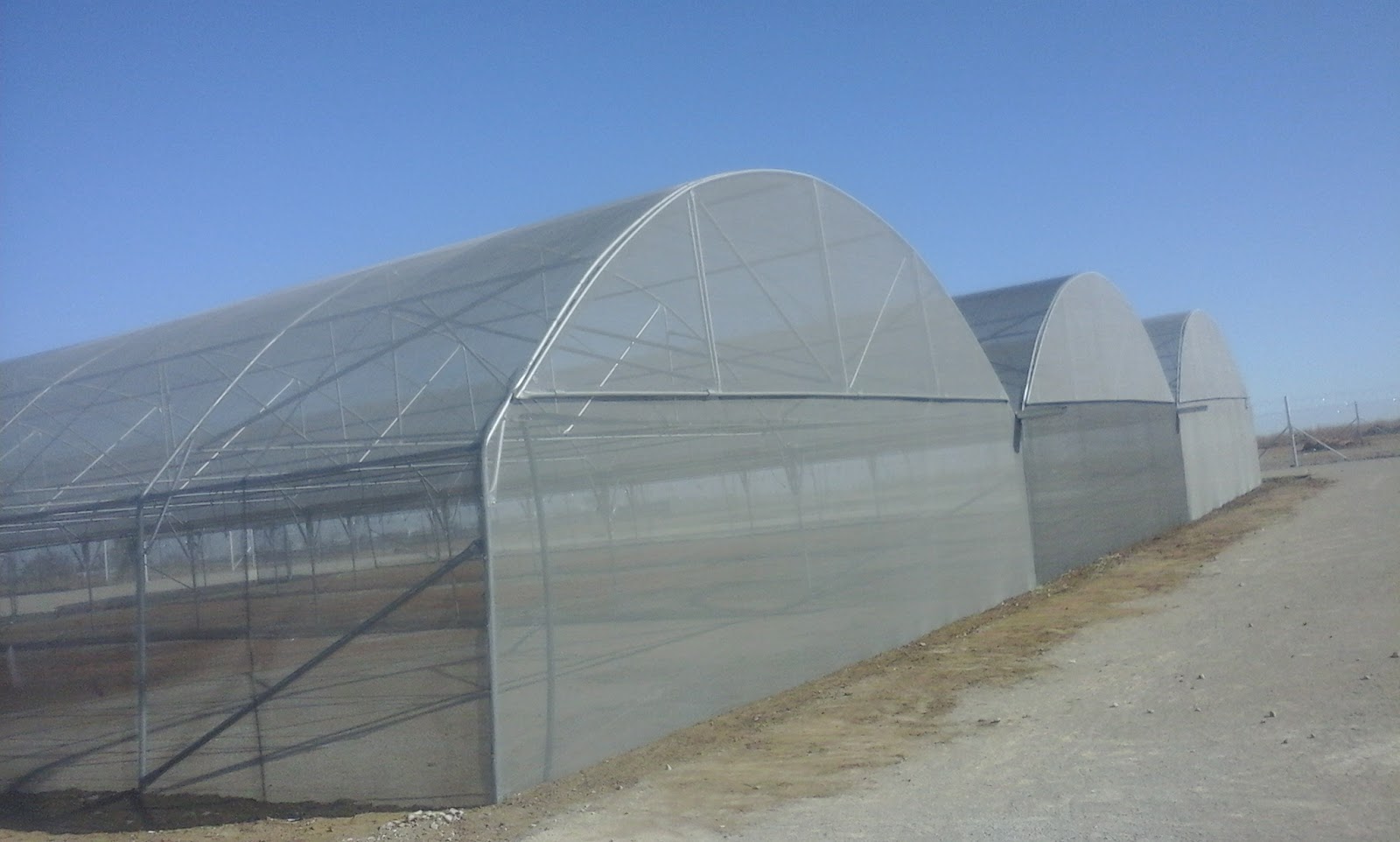 Greenhouse Tunnels South Africa,Mpumalanga,Western Cape,Eastern Cape