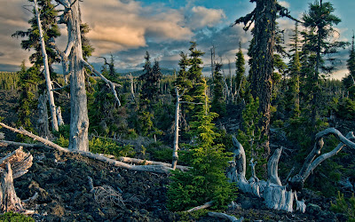 Amazing HD Wallpapers: Top 30+ HD Desktop Wallpapers 2013