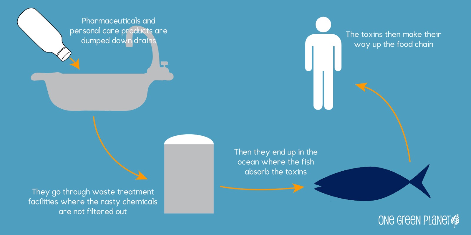 The Negative Impact of Beauty Products on the Environment