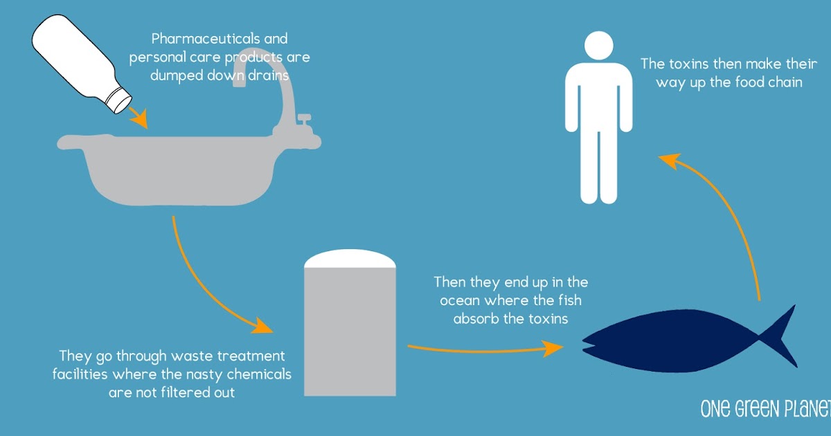 The Negative Impact of Beauty Products on the Environment