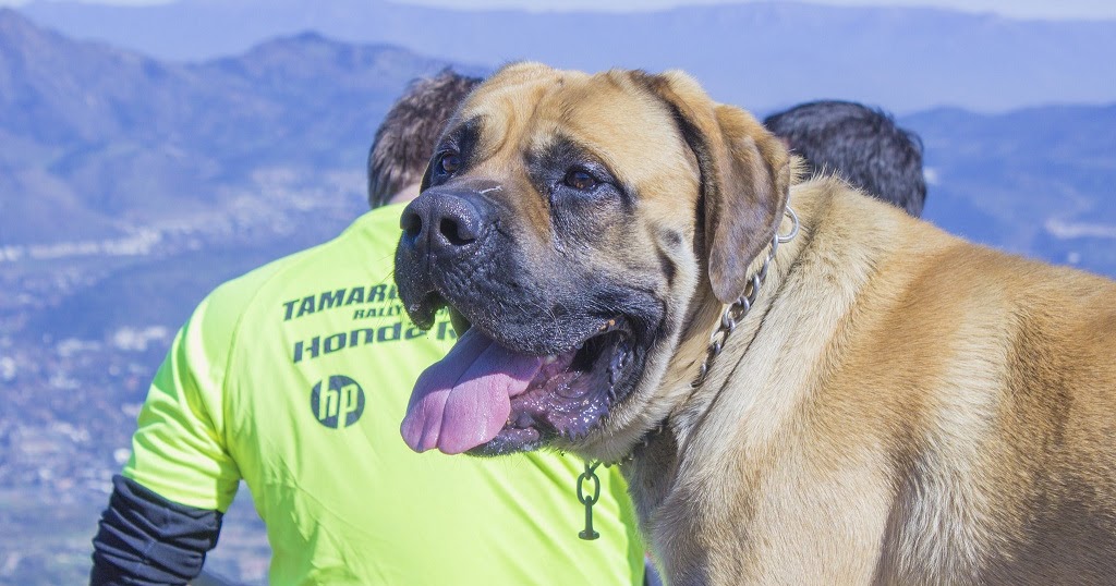 "Throw salt on your game" nghĩa là gì?