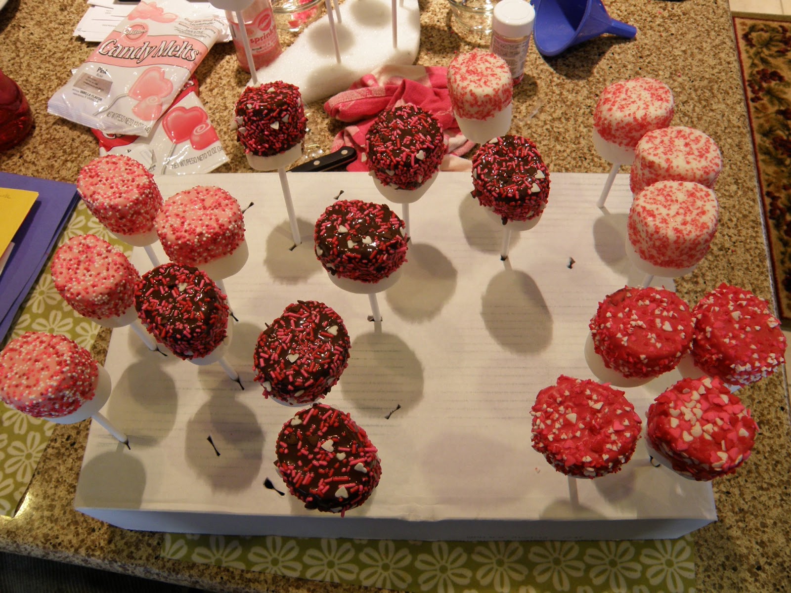 Kim's Concoctions Candy Dipped Jumbo Marshmallows