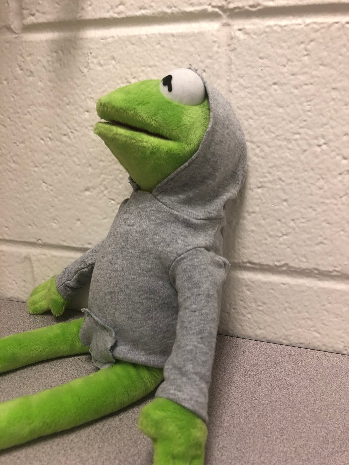 stan smith kermit hoodie