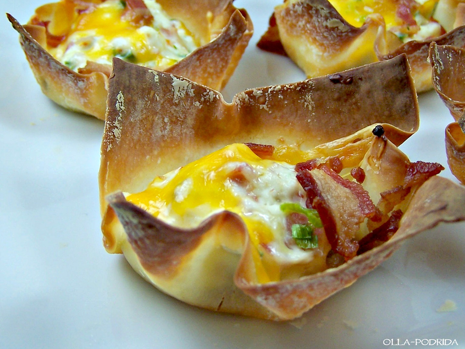 OllaPodrida Jalapeno Popper Wonton Cups