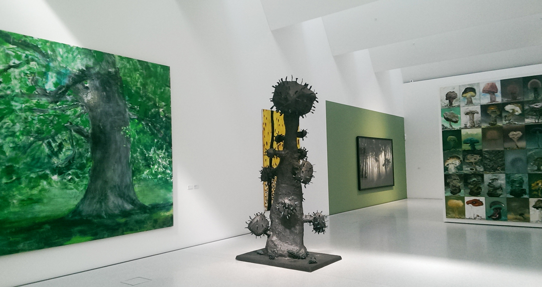 La Solidez Del Tiempo Arte Oriental De Cai Xiaosong Solo