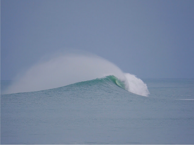 Copyright Surfin Estate ©