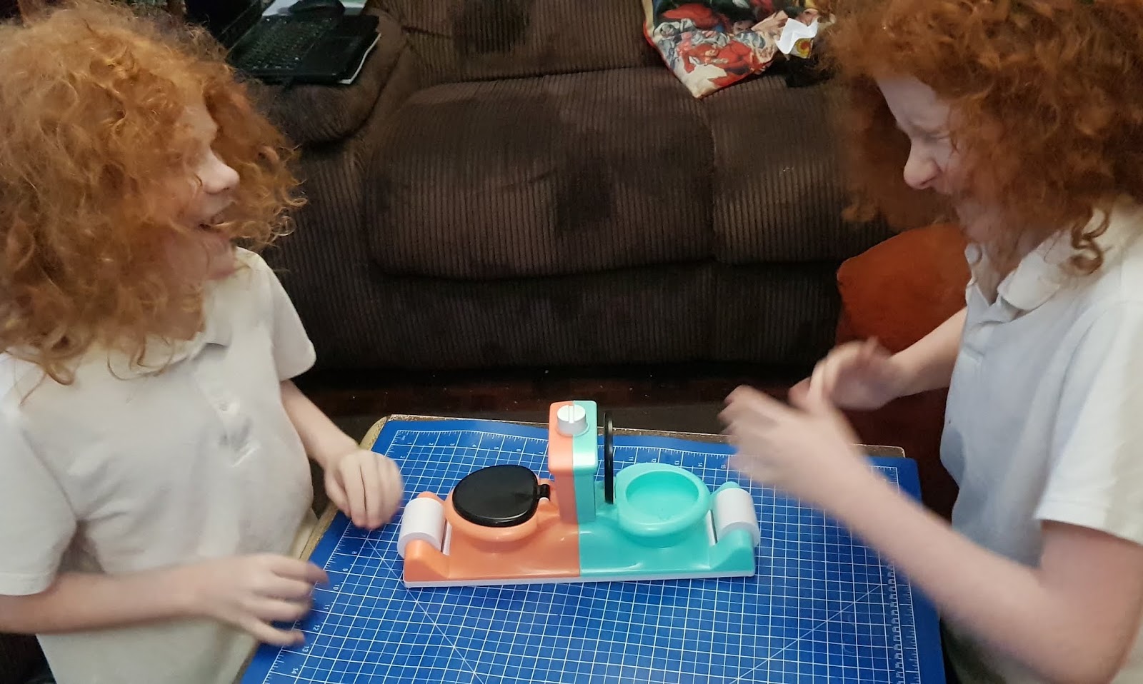 smyths toilet trouble