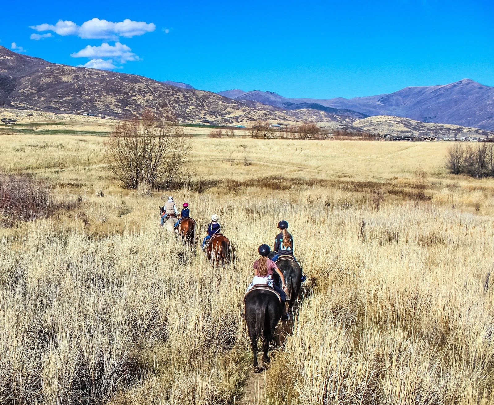 Cannundrums Horseback Riding and Dairy Keen Heber Valley