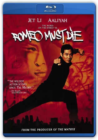 Romeo Must Die 2000 BRRip 350Mb Hindi Dual Audio 480p