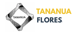 Tananua Flores online
