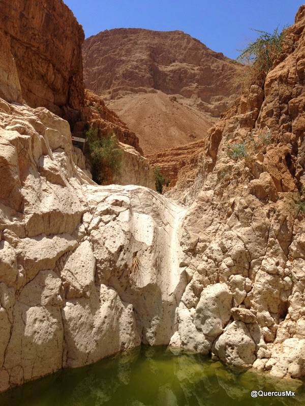 Fosa en el cañón seco de Wadi David