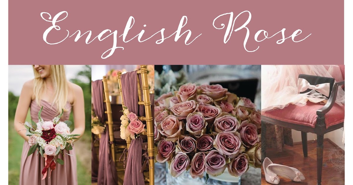 english rose dessy