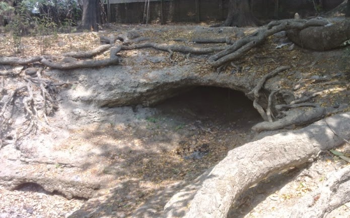 Rong Gua Kecil di Ndankrong Jelas terlihat saat air surut bahkan kering di musim kemarau