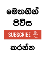 11876+ Tamil Fonts Pack Free Download Zip File 1 Sinhala Font Pack New - ( 14 Font )