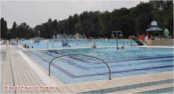 Piscina Palatinus en Isla Margarita Palatinus es un complejo con grandes piscinas al aire libre y gran superficie de esparcimiento. Está orientado para ir en verano.