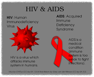 An Introduction to HIV-Human Immunodeficiency Virus and AIDS-Acquired ...