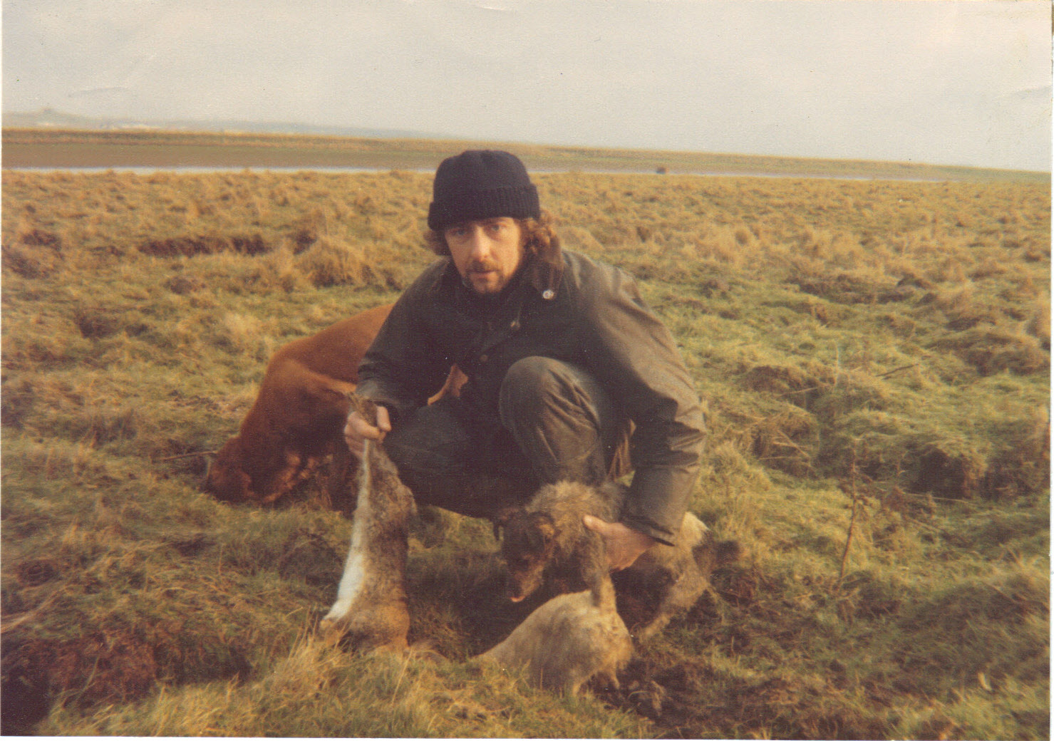 LETTERS FROM SHEPPEY: Rabbiting in the 70's