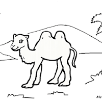 Contoh Gambar Mewarnai Gambar Unta Kataucap