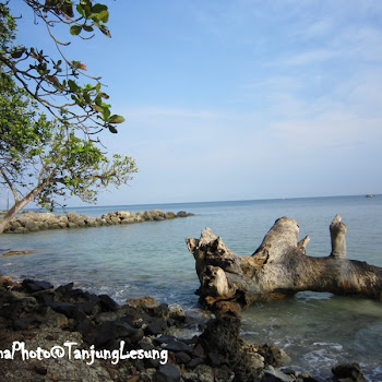 [Tanjung Lesung] Pantai Eklusif di Tanjung Lesung