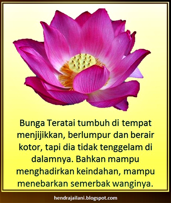 Kata Bijak Bunga Teratai Cikimm Com