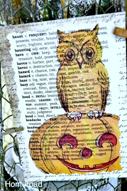 owl on pumpkin book page picture