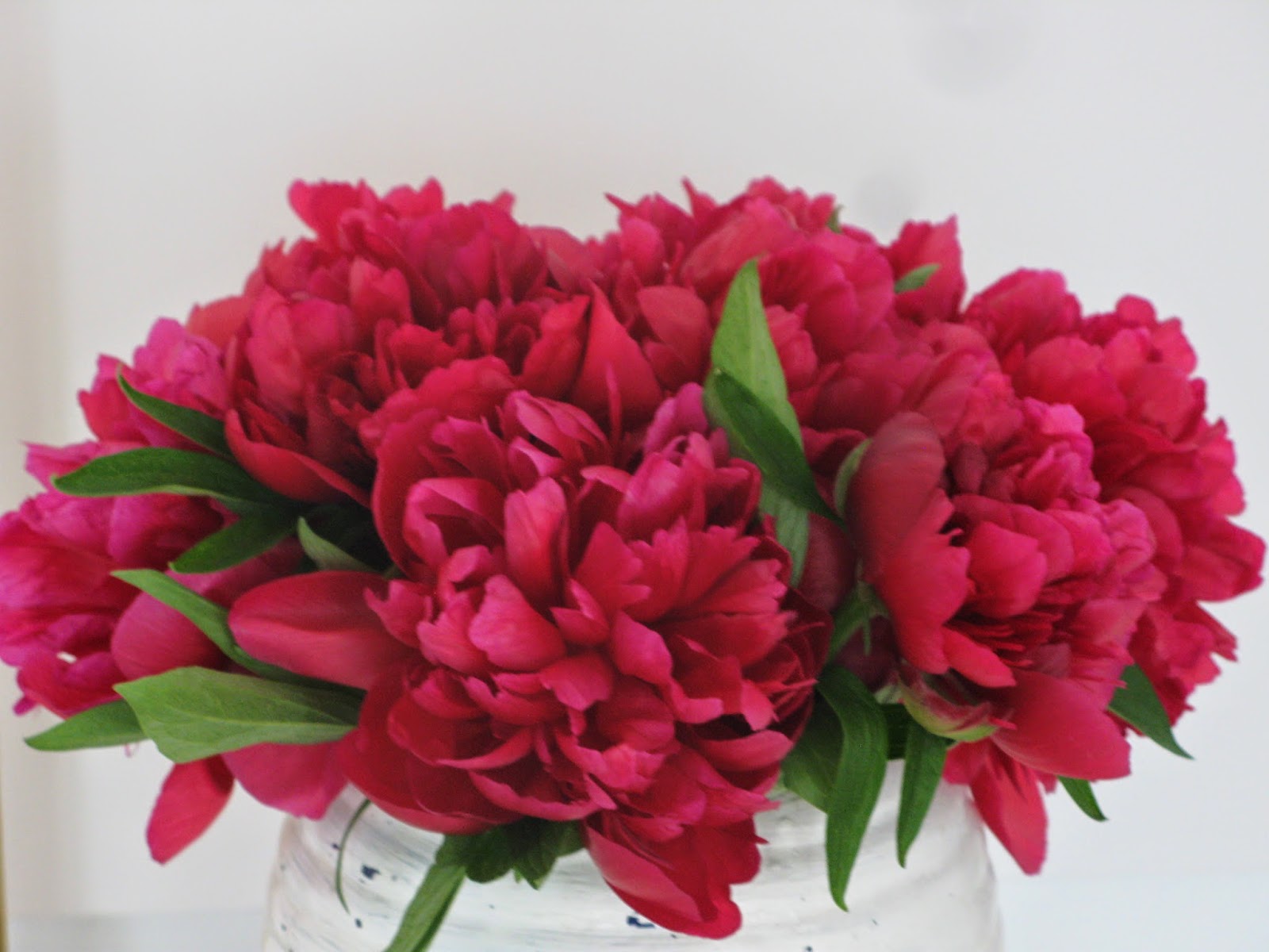 EIGENTUM DER KÖNIGIN Peonies are my favourite flower