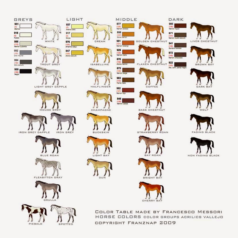 MTSC's News From The Front: Tips & Tricks: Horse Colors by Francesco ...